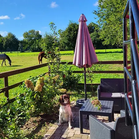 Schlafwagen Domblick Moerenhof Xanten